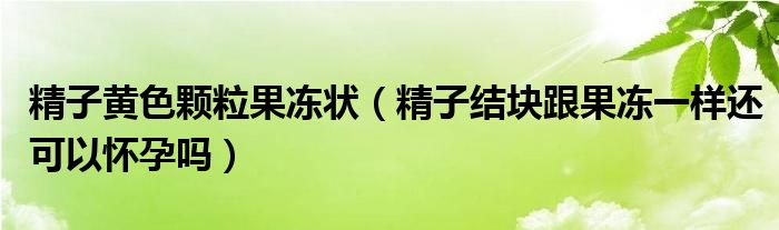 精子黃色顆粒果凍狀（精子結(jié)塊跟果凍一樣還可以懷孕嗎）