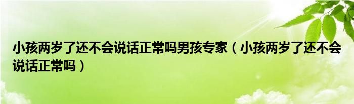 小孩兩歲了還不會(huì)說(shuō)話正常嗎男孩專家（小孩兩歲了還不會(huì)說(shuō)話正常嗎）