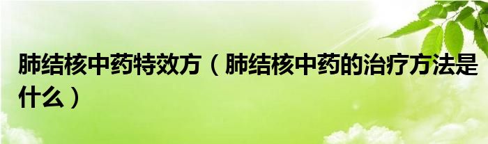 肺結(jié)核中藥特效方（肺結(jié)核中藥的治療方法是什么）