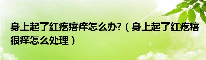 身上起了紅疙瘩癢怎么辦?（身上起了紅疙瘩很癢怎么處理）