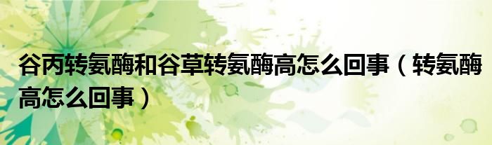 谷丙轉(zhuǎn)氨酶和谷草轉(zhuǎn)氨酶高怎么回事（轉(zhuǎn)氨酶高怎么回事）