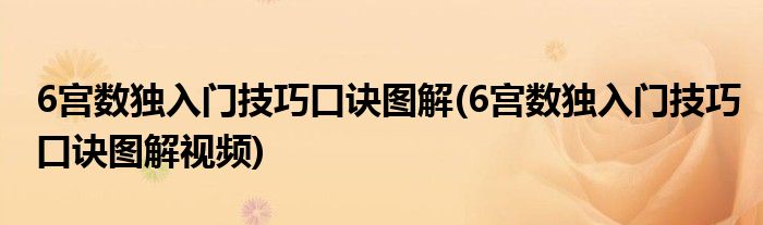 6宮數獨入門技巧口訣圖解(6宮數獨入門技巧口訣圖解視頻)