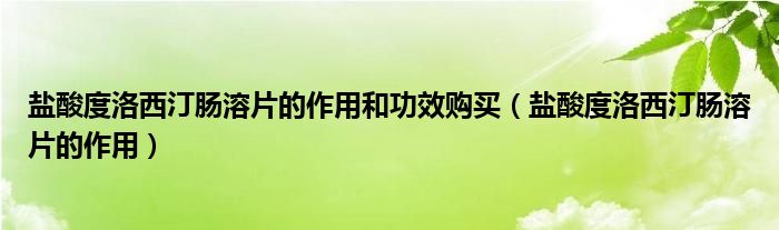 鹽酸度洛西汀腸溶片的作用和功效購買（鹽酸度洛西汀腸溶片的作用）