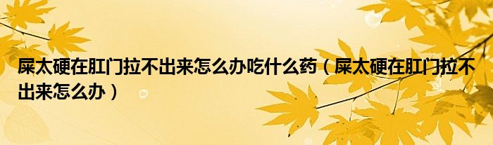 屎太硬在肛門拉不出來怎么辦吃什么藥（屎太硬在肛門拉不出來怎么辦）