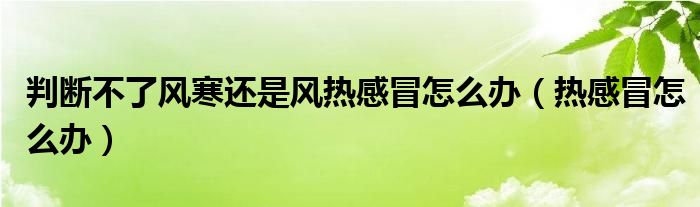 判斷不了風寒還是風熱感冒怎么辦（熱感冒怎么辦）