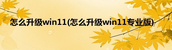 怎么升級win11(怎么升級win11專業(yè)版)