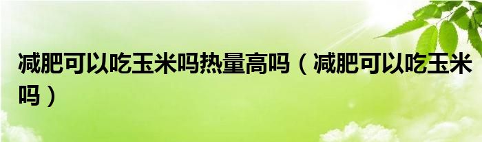 減肥可以吃玉米嗎熱量高嗎（減肥可以吃玉米嗎）