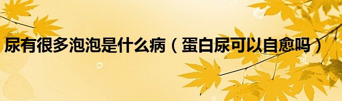 尿有很多泡泡是什么?。ǖ鞍啄蚩梢宰杂鷨幔?class='thumb lazy' /></a>
		    <header>
		<h2><a  href=