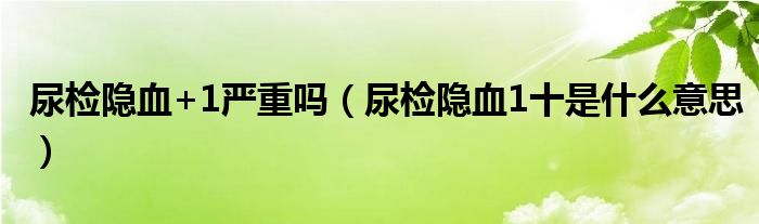 尿檢隱血+1嚴(yán)重嗎（尿檢隱血1十是什么意思）