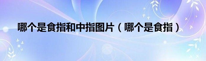 哪個(gè)是食指和中指圖片（哪個(gè)是食指）