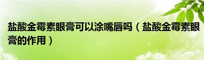 鹽酸金霉素眼膏可以涂嘴唇嗎（鹽酸金霉素眼膏的作用）