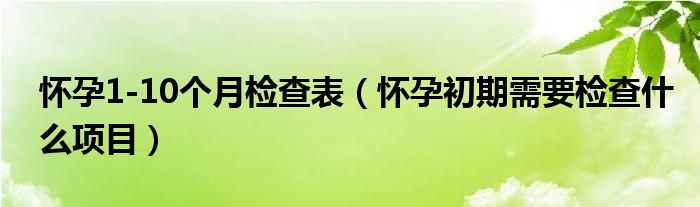 懷孕1-10個(gè)月檢查表（懷孕初期需要檢查什么項(xiàng)目）