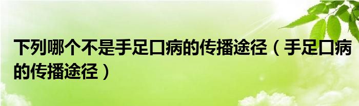 下列哪個(gè)不是手足口病的傳播途徑（手足口病的傳播途徑）