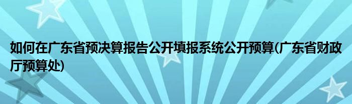 如何在廣東省預(yù)決算報告公開填報系統(tǒng)公開預(yù)算(廣東省財政廳預(yù)算處)