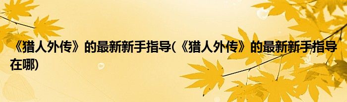 《獵人外傳》的最新新手指導(dǎo)(《獵人外傳》的最新新手指導(dǎo)在哪)