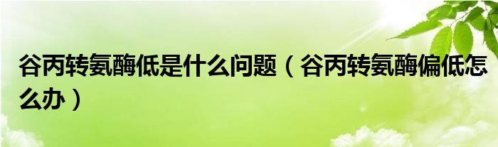 谷丙轉氨酶低是什么問題（谷丙轉氨酶偏低怎么辦）