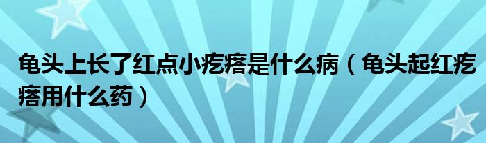 龜頭上長了紅點小疙瘩是什么?。旑^起紅疙瘩用什么藥）