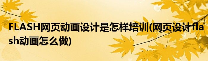 FLASH網(wǎng)頁動畫設(shè)計是怎樣培訓(xùn)(網(wǎng)頁設(shè)計flash動畫怎么做)