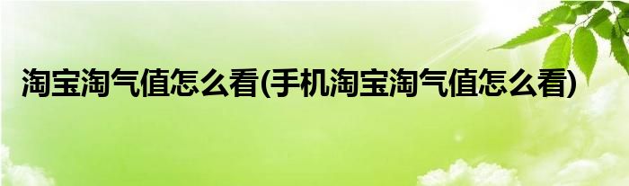 淘寶淘氣值怎么看(手機(jī)淘寶淘氣值怎么看)