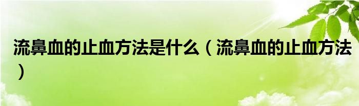 流鼻血的止血方法是什么（流鼻血的止血方法）