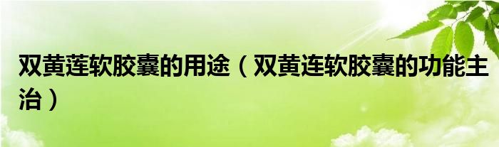 雙黃蓮軟膠囊的用途（雙黃連軟膠囊的功能主治）