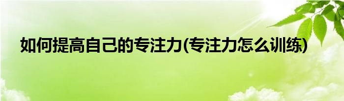 如何提高自己的專注力(專注力怎么訓(xùn)練)