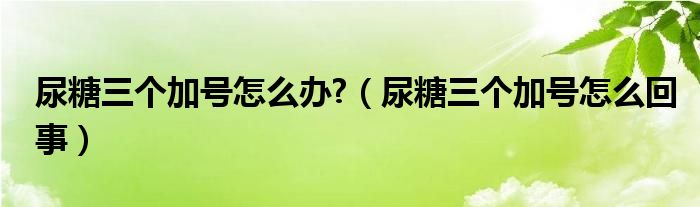 尿糖三個加號怎么辦?（尿糖三個加號怎么回事）