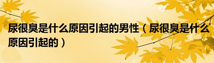 尿很臭是什么原因引起的男性（尿很臭是什么原因引起的）