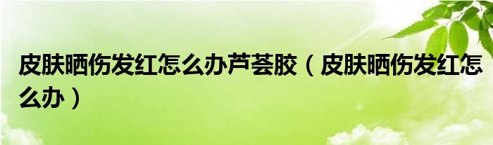 皮膚曬傷發(fā)紅怎么辦蘆薈膠（皮膚曬傷發(fā)紅怎么辦）