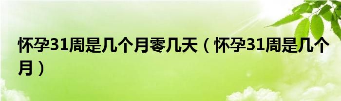 懷孕31周是幾個月零幾天（懷孕31周是幾個月）