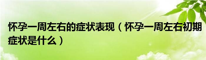 懷孕一周左右的癥狀表現(xiàn)（懷孕一周左右初期癥狀是什么）