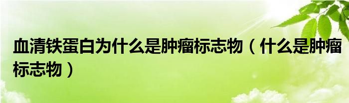 血清鐵蛋白為什么是腫瘤標志物（什么是腫瘤標志物）