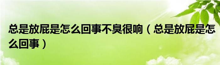 總是放屁是怎么回事不臭很響（總是放屁是怎么回事）