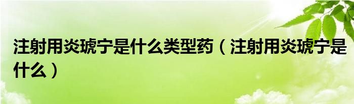 注射用炎琥寧是什么類型藥（注射用炎琥寧是什么）