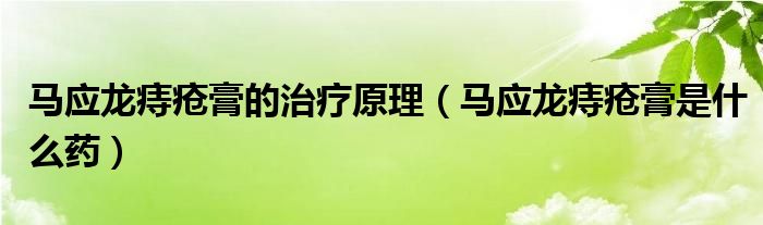 馬應(yīng)龍痔瘡膏的治療原理（馬應(yīng)龍痔瘡膏是什么藥）