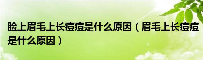 臉上眉毛上長痘痘是什么原因（眉毛上長痘痘是什么原因）