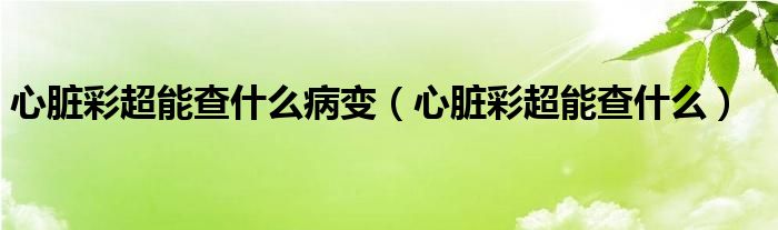 心臟彩超能查什么病變（心臟彩超能查什么）