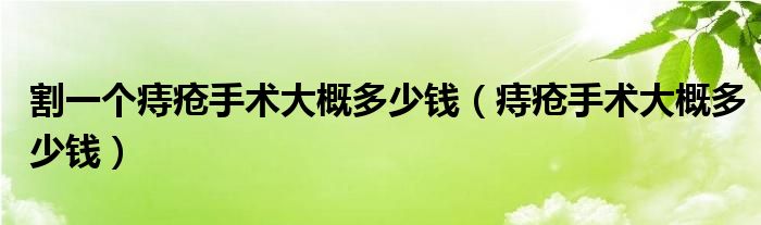 割一個痔瘡手術(shù)大概多少錢（痔瘡手術(shù)大概多少錢）