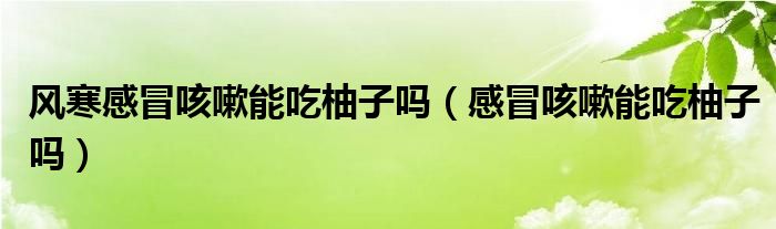 風(fēng)寒感冒咳嗽能吃柚子嗎（感冒咳嗽能吃柚子嗎）