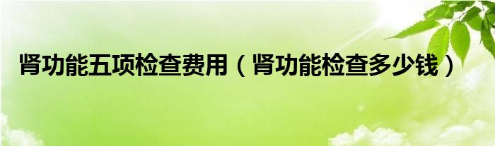 腎功能五項檢查費用（腎功能檢查多少錢）