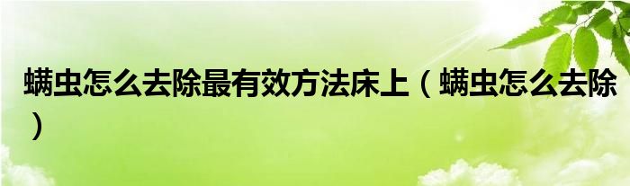 螨蟲(chóng)怎么去除最有效方法床上（螨蟲(chóng)怎么去除）