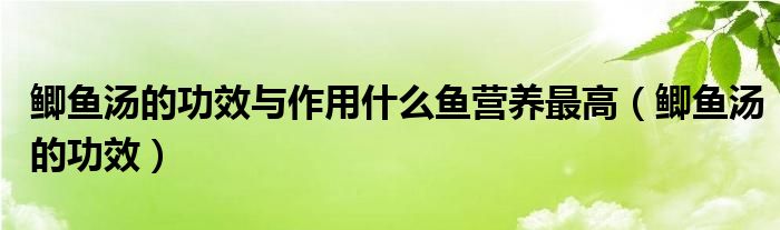 鯽魚湯的功效與作用什么魚營養(yǎng)最高（鯽魚湯的功效）