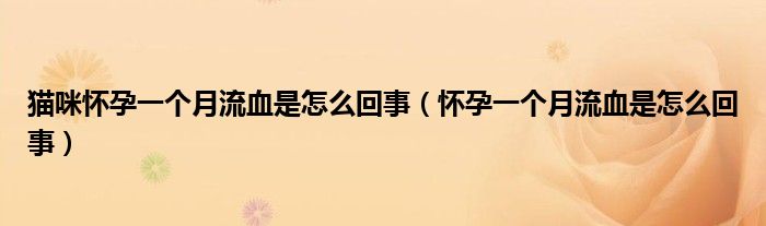 貓咪懷孕一個(gè)月流血是怎么回事（懷孕一個(gè)月流血是怎么回事）