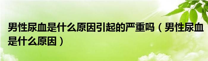 男性尿血是什么原因引起的嚴重嗎（男性尿血是什么原因）