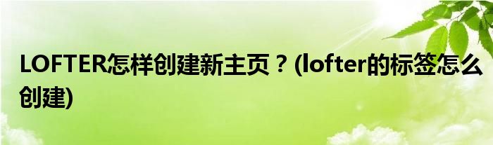 LOFTER怎樣創(chuàng)建新主頁？(lofter的標簽怎么創(chuàng)建)