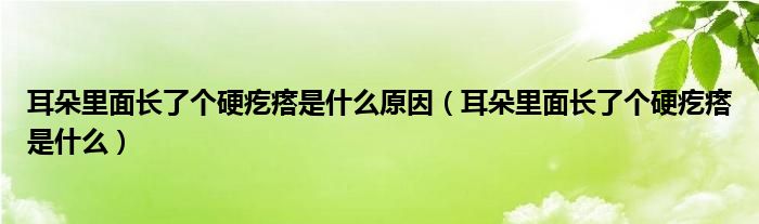 耳朵里面長(zhǎng)了個(gè)硬疙瘩是什么原因（耳朵里面長(zhǎng)了個(gè)硬疙瘩是什么）