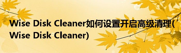 Wise Disk Cleaner如何設(shè)置開啟高級(jí)清理(Wise Disk Cleaner)