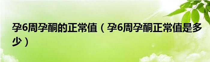 孕6周孕酮的正常值（孕6周孕酮正常值是多少）