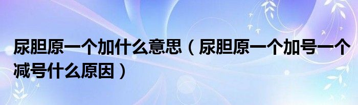 尿膽原一個(gè)加什么意思（尿膽原一個(gè)加號(hào)一個(gè)減號(hào)什么原因）