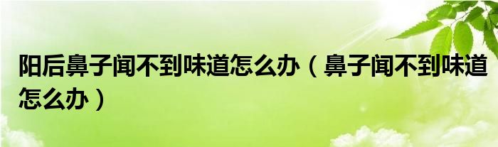 陽(yáng)后鼻子聞不到味道怎么辦（鼻子聞不到味道怎么辦）